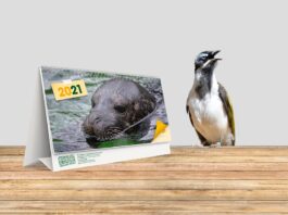 Ještě nemáte kalendář na příští rok? Kupte si ten z ústecké ZOO!