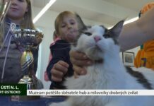 ÚSTÍ N.L. Muzeum potěšilo sběratele hub a milovníky drobných zvířat