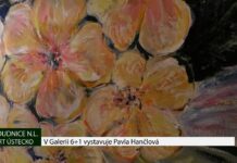 ROUDNICE N. L.: V Galerii 6+1 vystavuje Pavla Hančlová