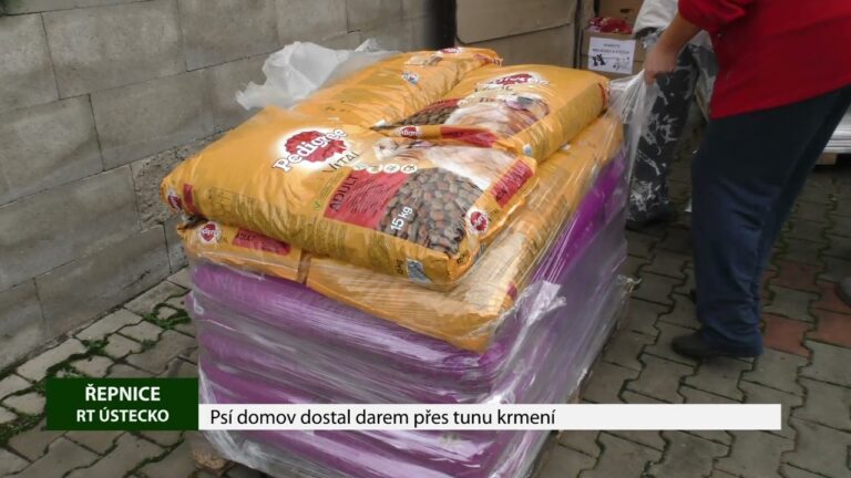 ŘEPNICE: Psí domov dostal darem přes tunu krmení ŘEPNICE: Psí domov dostal darem přes tunu krmení