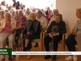 TEREZÍN: V SeniorCentru SeneCura se na MDŽ rozdávaly petrklíče