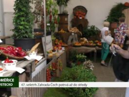LITOMĚŘICE: 47. veletrh Zahrada Čech potrvá až do středy