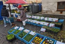 Kam o víkendu na Litoměřicku