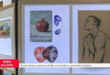 ŠTĚTÍ: Nové výstavy vezmou diváky za muzikou a uměním mladých
