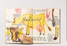 Festival Města čtou zpestří Kráva a ukázky tlučení másla