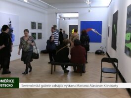 LITOMĚŘICE: Severočeská galerie zahájila výstavu Mariana Alasseur: Kontrasty