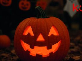 Knihovna Ústeckého kraje zve na Dýňobraní – Halloween