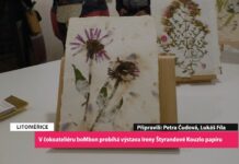 LITOMĚŘICE: V čokoateliéru boMbon probíhá výstava Ireny Štyrandové Kouzlo papíru