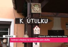 ŘEPNICE/LITOMĚŘICE: Sedmáci z Boženy na návštěvě v psím útulku
