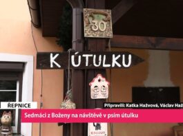 ŘEPNICE/LITOMĚŘICE: Sedmáci z Boženy na návštěvě v psím útulku