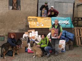 ŘEPNICE: Útulek fest přivezl do Psího domova krmivo na několik měsíců