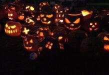 LITOMĚŘICE: Vesnička Dýňov na ZŠ Masarykova