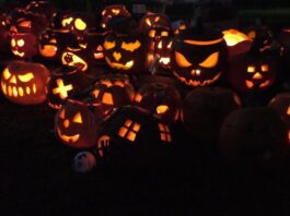 LITOMĚŘICE: Vesnička Dýňov na ZŠ Masarykova