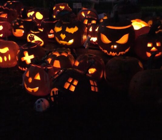 LITOMĚŘICE: Vesnička Dýňov na ZŠ Masarykova