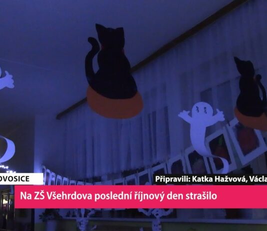 LOVOSICE: Na ZŠ Všehrdova poslední říjnový den strašilo