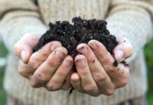 Probuď město, kompostuj! V Lovosicích si vyrobíte vlastní seedbombu