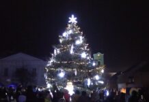 LIBOCHOVICE: Rozsvícení vánočního stromu bylo letos i s živým velbloudem