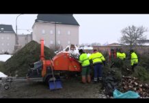 LITOMĚŘICE: Také letos město vánoční stromky zužitkuje pro kompost