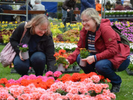 Začal cenově zvýhodněný předprodej vstupenek na Tržnici Zahrady Čech