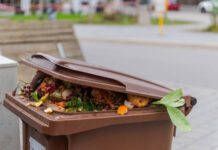 V Roudnici nad Labem začíná sezóna svozu bioodpadu. První hnědé popelnice se vyprázdní koncem února