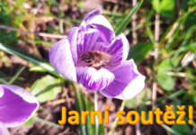 UKAŽTE NÁM JARO: Soutěžte s námi o vstupenky na Tržnici zahrady Čech!