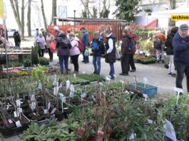 LITOMĚŘICE: Jarní Tržnice Zahrady Čech se kvapem blíží