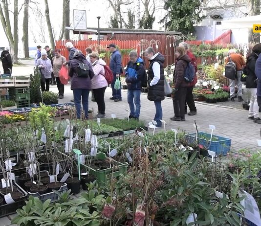 LITOMĚŘICE: Jarní Tržnice Zahrady Čech se kvapem blíží