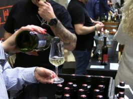 LITOMĚŘICE: Litoměřický hrozen lámal rekordy