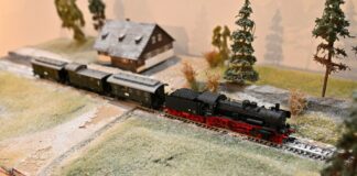 Lákadlo pro malé i velké: Pomozte přivézt unikátní německé modelové vláčky do ústeckého muzea