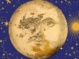 Chceš zažít Litoměřickou muzejní noc zevnitř? Staň se dobrovolníkem!