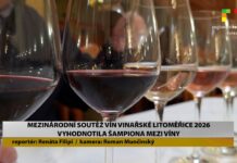 LITOMĚŘICE: Mezinárodní soutěž vín Vinařské Litoměřice 2026 vyhodnotila šampiona mezi víny