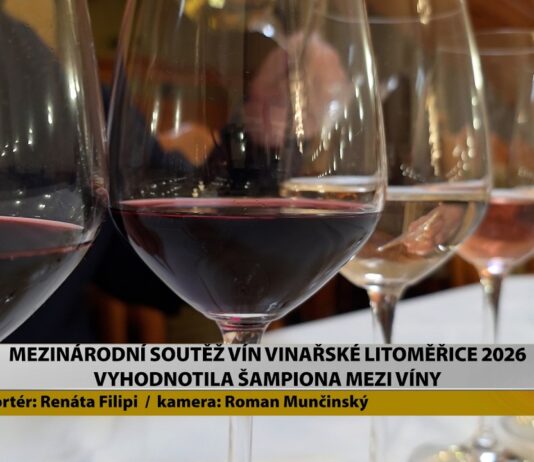 LITOMĚŘICE: Mezinárodní soutěž vín Vinařské Litoměřice 2026 vyhodnotila šampiona mezi víny