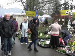 LITOMĚŘICE: Tržnice Zahrady Čech přilákala 23 tisíc návštěvníků