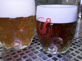 MLÉKOJEDY: Hákův parní pivovar na Velikonoce uvařil zelené pivo