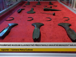 ROUDNICE N.L.: Podřipské muzeum slavnostně představilo unikátní bronzový nález