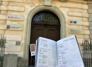 Benefiční bazar Šaty pro kočku pomůže opuštěným kočkám z Ústí nad Labem