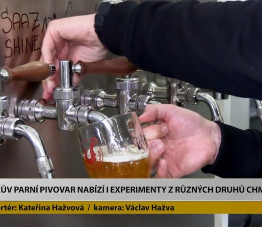 MLÉKOJEDY: Hákův parní pivovar nabízí i pivní experimenty z různých druhů chmele