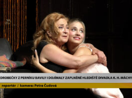 LITOMĚŘICE: Drobečky z perníku bavily i dojímaly zaplněné hlediště Divadla K. H. Máchy