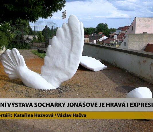 LITOMĚŘICE: Letní výstava sochařky Jonášové je hravá i expresivní