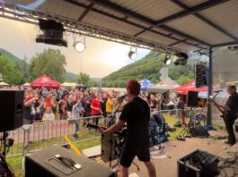 BRNÁ: Benefiční Útulek fest pomáhá zvířatům už 25 let