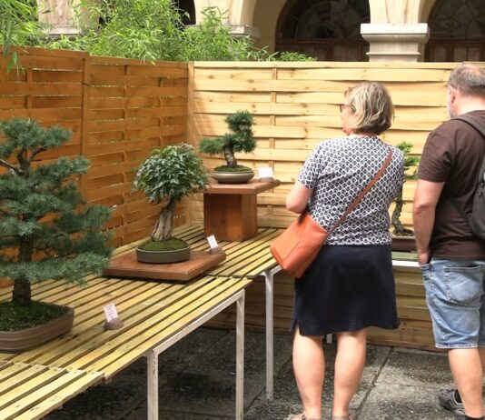 LIBOCHOVICE: Výstava bonsají a exotického ptactva na zámku