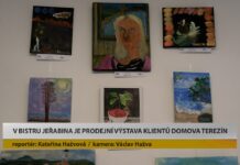 LITOMĚŘICE: V Bistru Jeřabina je prodejní výstava klientů Domova Terezín